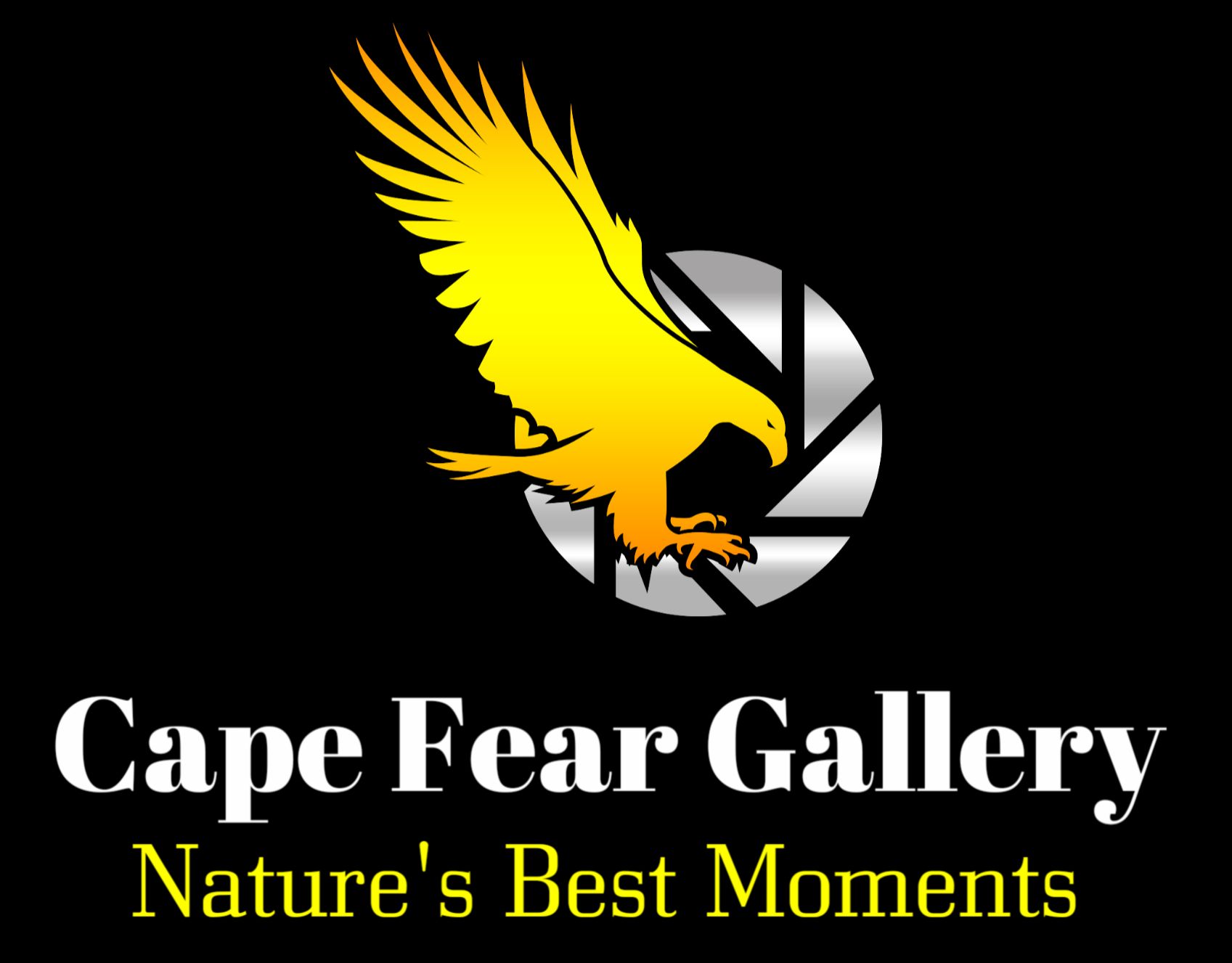 capefeargallery.com Logo